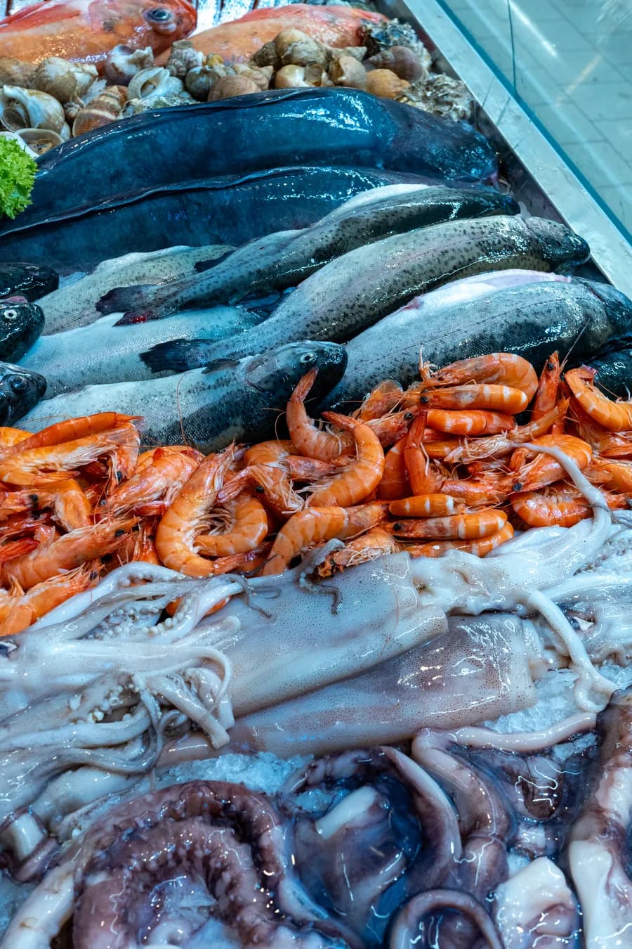 Fischtheke mit Dorade und Garnelen